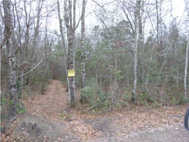 0 Roumillats Ln unit 18000396, Moncks Corner, SC 29461 - photo 3
