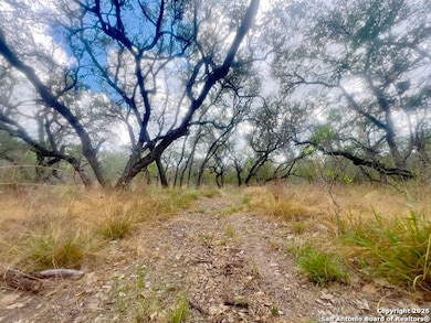TBD County Road 6813, Natalia, TX 78059 - photo 4