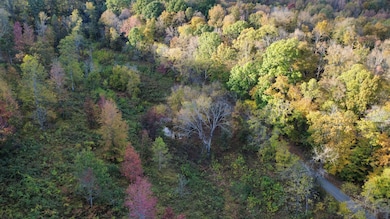 440 Big Spring Hollow Rd, Pulaski, TN 38478 - photo 4