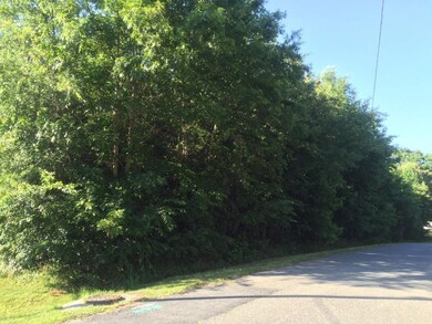 0 Green Level Loop Rd unit 92122, Burlington, NC 27217 - photo 3