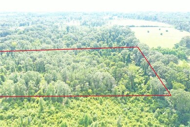 0 Par Road 272, Franklinton, LA 70438 - photo 6