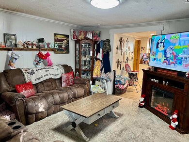 318 N Pine St, Inman, KS 67546 - photo 3