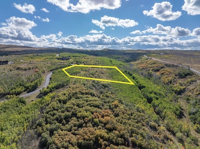 451 Birdsong Ln, Montrose, CO 81403 - photo 4