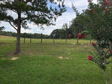 21630 Belgian Ct, Mount Dora, FL 32757 - photo 7