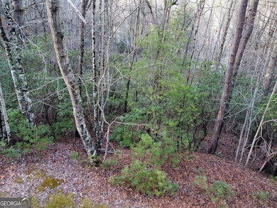 4 Villa Weg, Helen, GA 30545 - photo 3