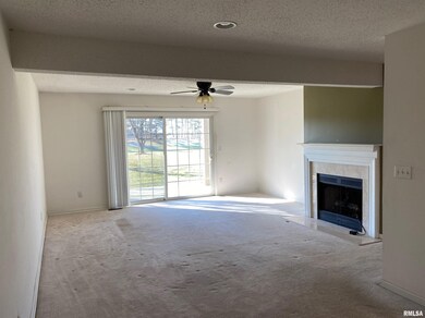 4537 N Thornhill Dr unit 101, Peoria, IL 61615 - photo 5