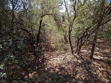 LOT25b