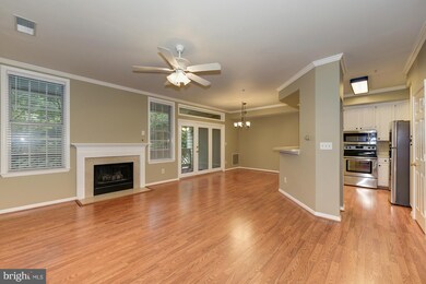 1367A Garden Wall Cir unit 709, Reston, VA 20194 - photo 2