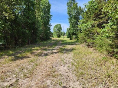 image000005 (32)