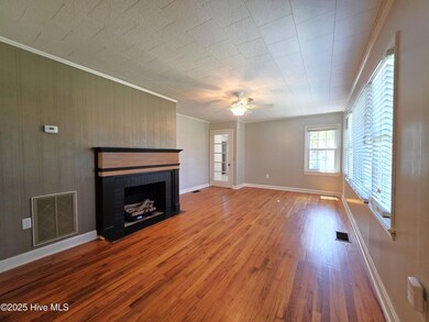 Gas Log Fireplace