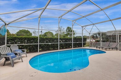 Yard with Pool and Privacy