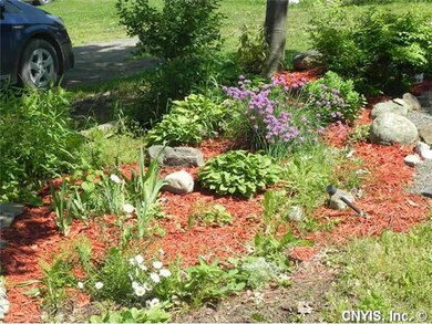 Yard/Garden
