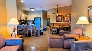 350 E Hiawatha Dr unit 212, Wisconsin Dells, WI 53965 - photo 5