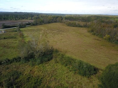 732 acre U S Highway 82, Eufaula, AL 36027 - photo 7