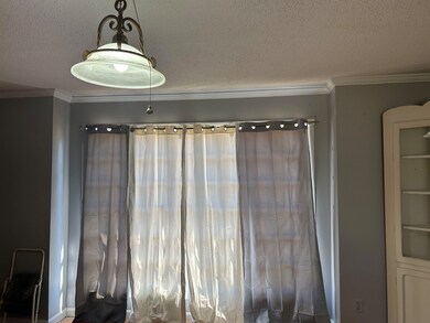 Details with crown molding and a textured ceiling