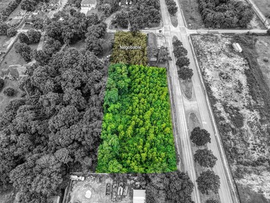 0 T C Jester Blvd, Houston, TX 77091 - photo 4