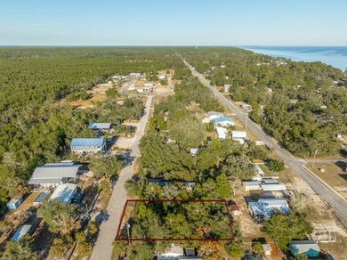 2202 Kentucky Ave, Lanark Village, FL 32323 - photo 4