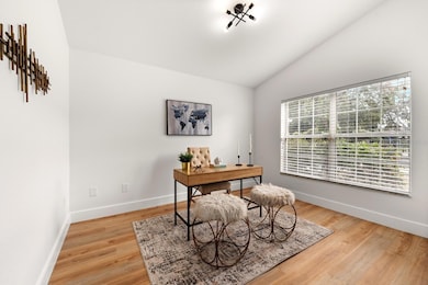 11112 Goldenrod Fern Dr, Riverview, FL 33569 - photo 5