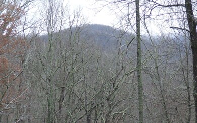 454 Beaver's Cove, Morganton, GA 30560 - photo 4