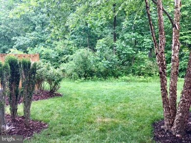 42760 Keiller Terrace, Ashburn, VA 20147 - photo 3