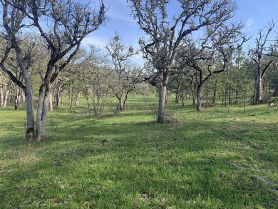 a0c574fb408aa62e-photo