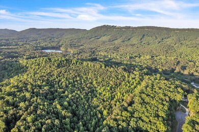 04-DJI_0500