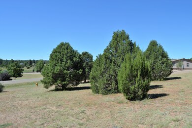 Stagecoach Land (4)