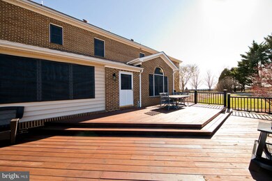 165 Upper Ridge Rd, Winchester, VA 22603 - photo 5