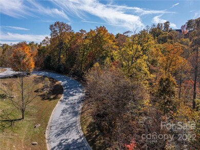 1736 Wood Owl Ct unit 36R, Hendersonville, NC 28791 - photo 5