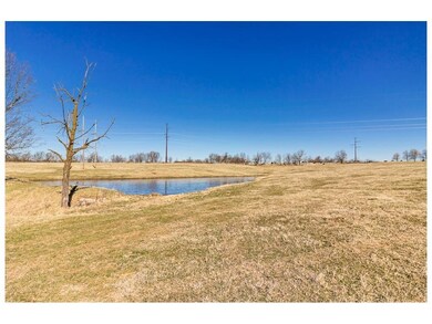 3204 Wildcat Creek Blvd, Springdale, AR 72762 - photo 3