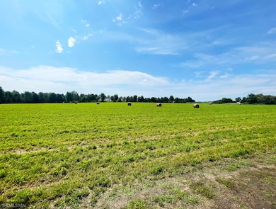 15XX3 60th St SW, Cokato, MN 55321 - photo 2