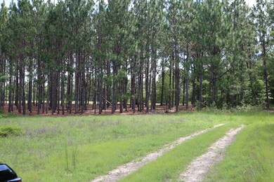 0 Rd, Garfield, GA 30425 - photo 5