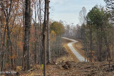 0 Bull Creek Lot H Rd, Huntsville, TN 37756 - photo 6