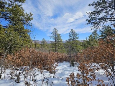0 Gallinas Pkwy unit E17 24-248, Trinidad, CO 81082 - photo 6