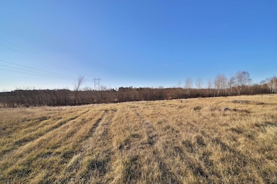 41207-2108 Brook Ln SW, Sylvan Township, MN 56473 - photo 5