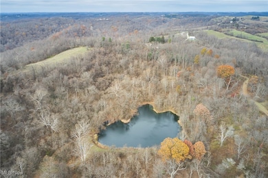 56835 Stephens Rd, Jacobsburg, OH 43933 - photo 5