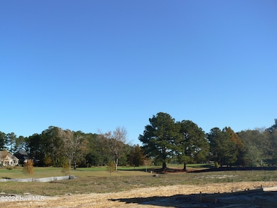 Golf Course View