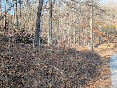 000 Gregg Rd, Reeds Spring, MO 65737 - photo 7