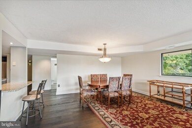 1040 Deer Ridge Dr unit 300, Baltimore, MD 21210 - photo 5