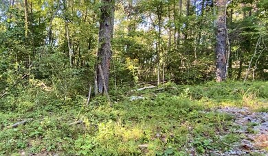 14 Blue Creek Estates, Somerset, KY 42501 - photo 3