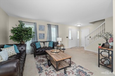 2423 Warm Springs Ln unit 2, Naperville, IL 60564 - photo 3