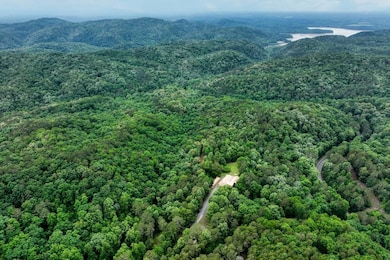 0 Georgia 136, Talking Rock, GA 30175 - photo 2