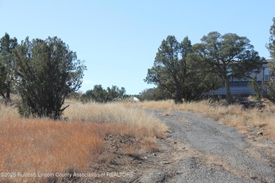 8406 US Hwy 380, Capitan, NM 88316 - photo 7