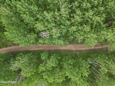 DJI_0493