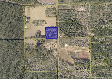 2626 Louisiana 377, Pitkin, LA - photo 5