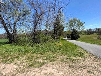 172 Acres Spears Rd, Scottsville, KY 42164 - photo 3