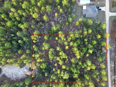 0 Tbd Sw 124th Terrace Rd, Ocala, FL 34481 - photo 7