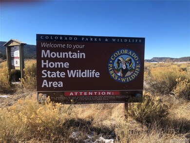 0 County Lane 6, Fort  Garland, CO 81133 - photo 7