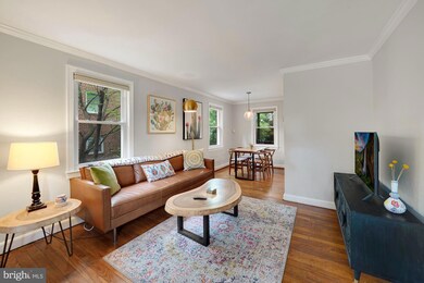 5805 Mount Vernon Dr, Alexandria, VA 22303 - photo 7