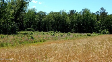 206 Hugh White State Park Rd, Grenada, MS 38901 - photo 4